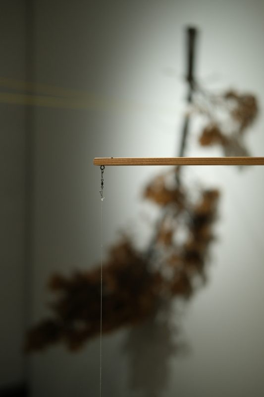 下載 (23)_1
